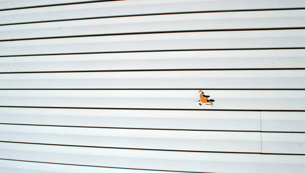 Property Management Cleanouts in Kotlik, AK